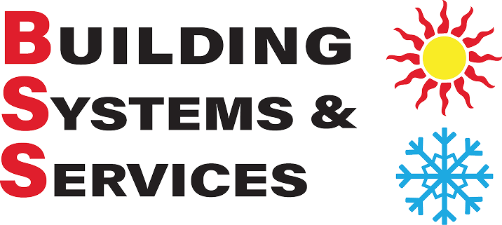 BSS logo - color